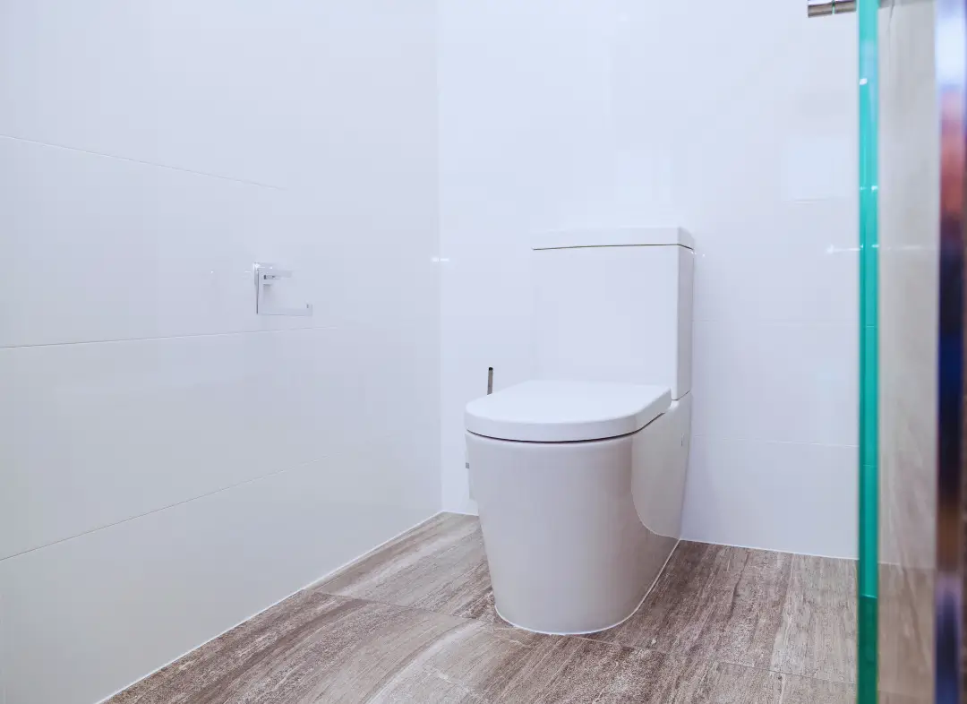 Remplacement de wc Vedène