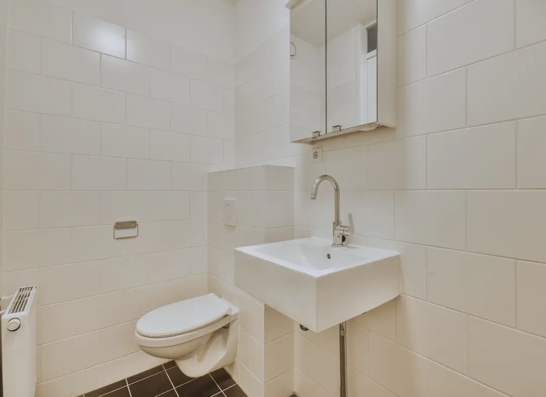 Pose WC Suspendu Vedène